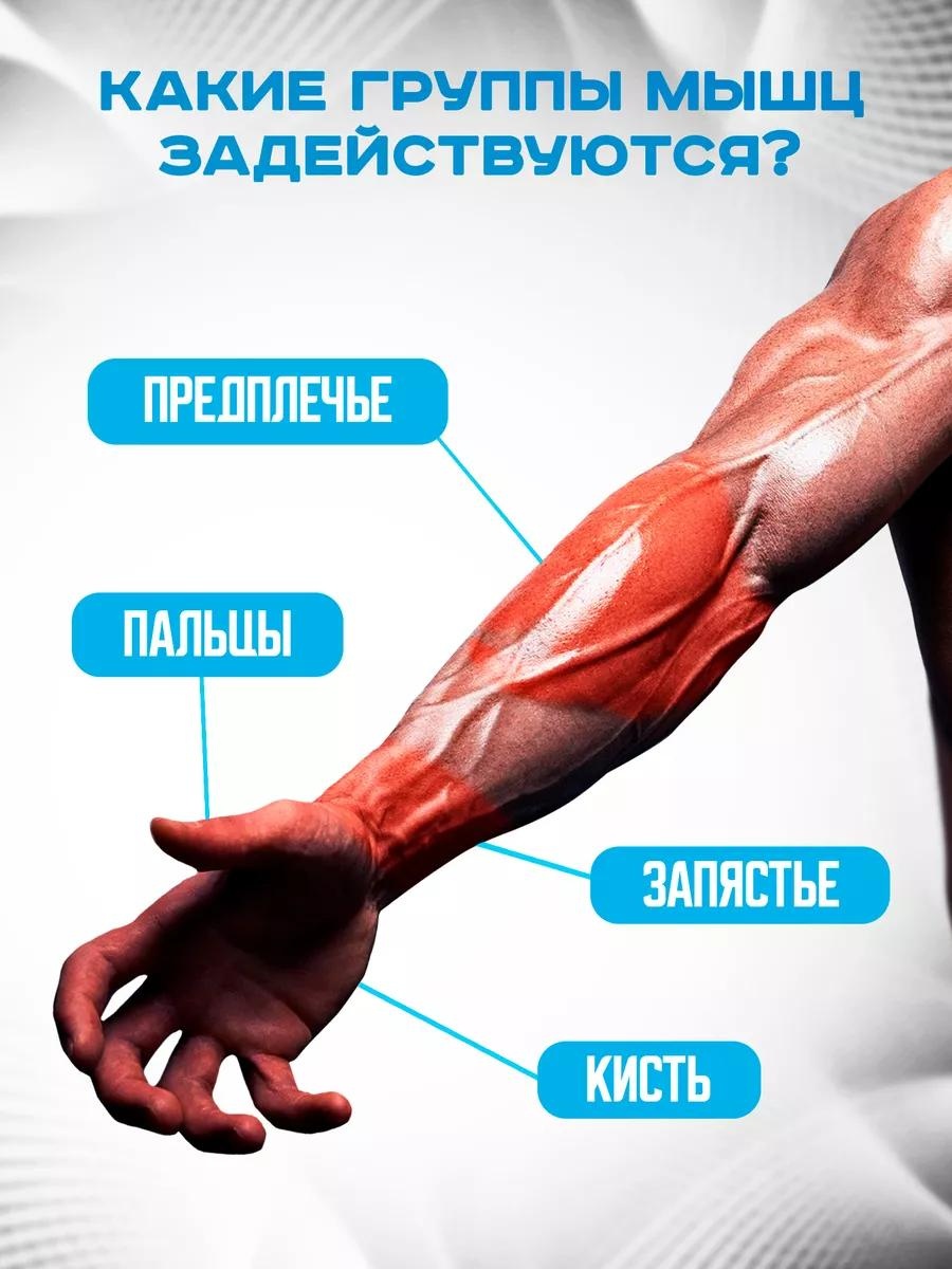 Кистевой LARKO 1 шт 165 кг — фото 7