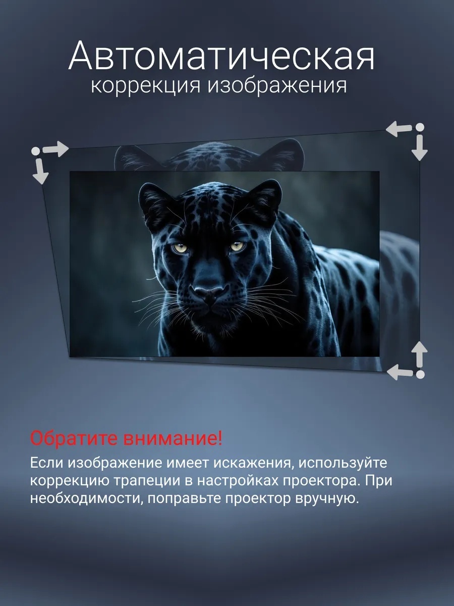 Проектор для домашнего кинотеатра LARKO Home cinema — фото 4